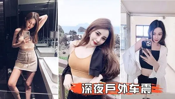 深夜户外.车震