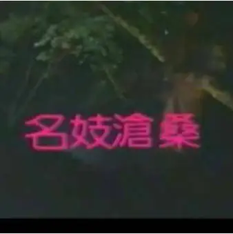 名妓沧桑