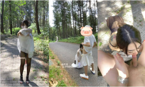 31万粉丝，全国巡游干各种妹子！约炮专家【西门官人姐夫】推特长视频福利②，秒懂下