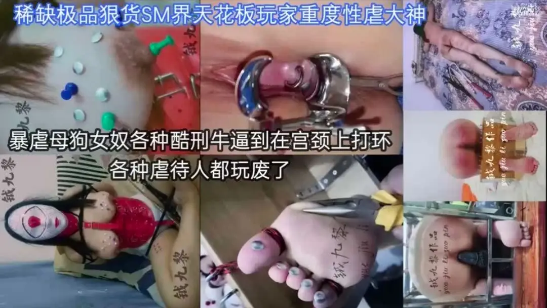 缅甸大神SM调教，暴虐母狗女奴各种酷刑宫颈上打环