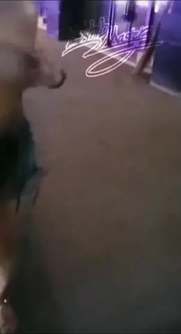 顶级核弹！推特极品颜值尤物▌Exhib▌绝美女神都是有钱人玩的私人宠物 完美整理户外露出篇2V1 new