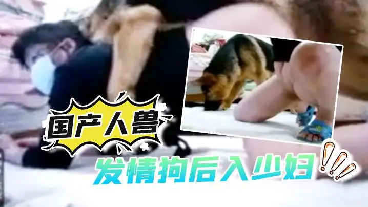 【国产人兽】发情狗后入少妇还自拍视频