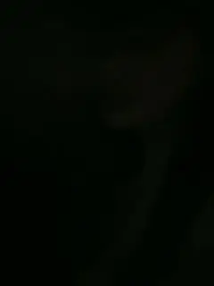 黑灯瞎火干就完了美女带着炮友户外夜间自拍