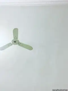 #哭了的小十九 1