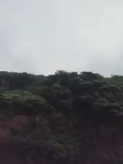 颜值不错少妇户外车震双人啪啪口后座骑乘抽插自摸逼逼很是诱惑喜欢不要错过第02集