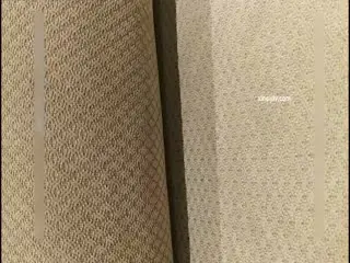 和照片一样好看的小模特儿第01集