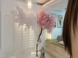 大小姐金克丝-剧情浪女姐姐自拍