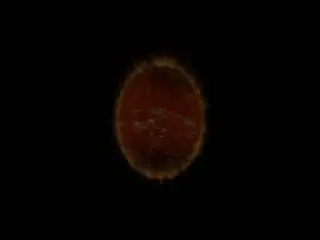 MTES-075名作ネコとタチレズビアン行進曲第10集