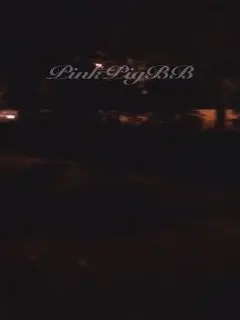 夜幕下的疯狂性爱露出大神萍萍公路旁草地野战做爱太爽了公路旁还有汽车和行人真刺激高清720P原版无水印第01集