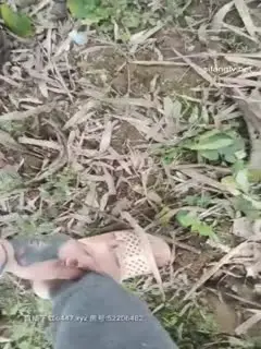 中国男子娶越南小老婆乡下老婆特水灵颜值高还听话荒郊小树林野战站着啪啪第01集