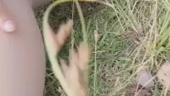 微博网红福利姬橘猫户外肉丝美乳直播福利