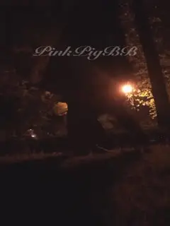 夜幕下的疯狂性爱露出大神萍萍公路旁草地野战做爱太爽了公路旁还有汽车和行人真刺激高清720P原版无水印第02集