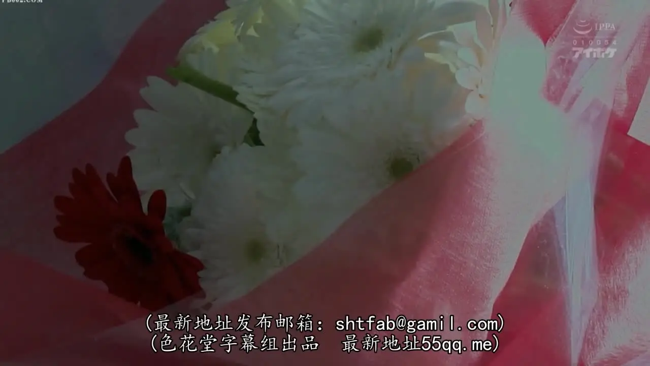 中文字幕 医院里的女神小姐姐很孝顺，嫩嫩肉肉活力肆意，心动挡不住搞到手抽插起伏纯纯从心底满足IPX149【水印】