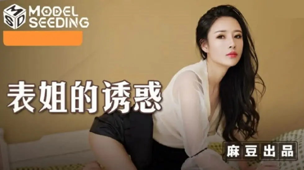 表姐的诱惑陈小雨