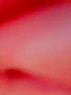 七月很乖.