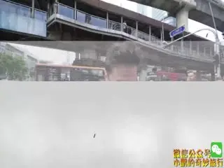 NaNa历险记的。