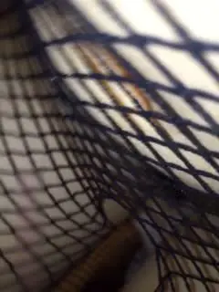 极品淫荡人妻_连体开裆渔网袜_口交肉棒一流_淫水直流抽插直打滑