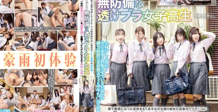 水果派解说五女暴雨寄宿色老头