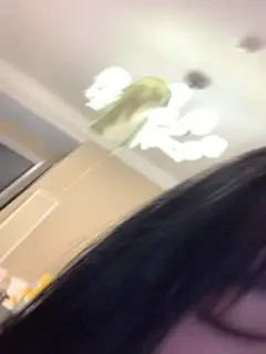 #泡泡咕 ()