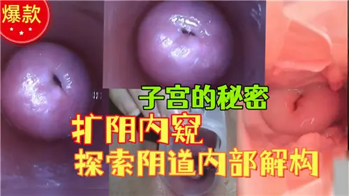 阴道内部大揭秘：扩阴器撑开私密花园，深入探索子宫深处刺激构造！