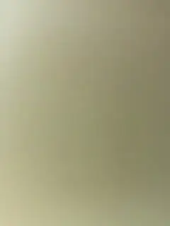 学妹和听话的男友开房自拍先让用嘴舔逼伺候