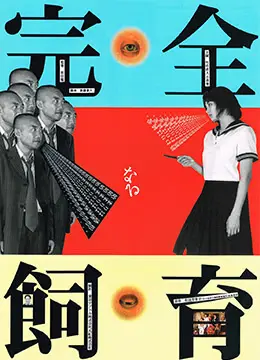密室调教：欲望的囚禁与绽放