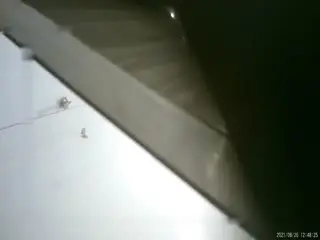 稀缺未流出绝版厕拍曝光！商场后楼梯私密偷窥福利视频超刺激流出