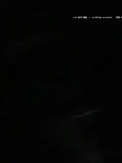 黄先生太子开宝马和战狼跑路_20201201