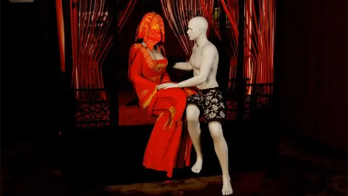 VAM ［完美世界］柳神配音 新婚之夜