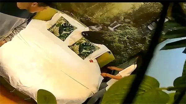 绿荫环绕的私密空间 白皙嫩滑的纤瘦长腿女神贴身热舞 长发飘散时激射的极致诱惑