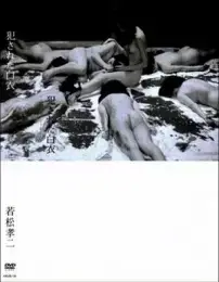 白衣小姐的闺房