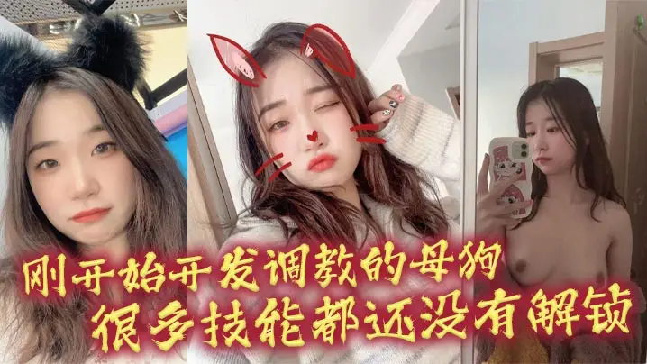 极品母狗调教实录 爆操开发骚穴解锁新姿势