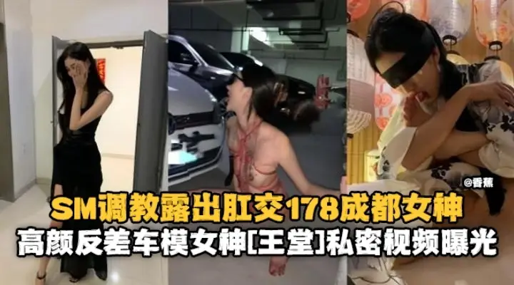 SM调教露出肛交178反差婊女神高颜值母狗私密黑料曝光