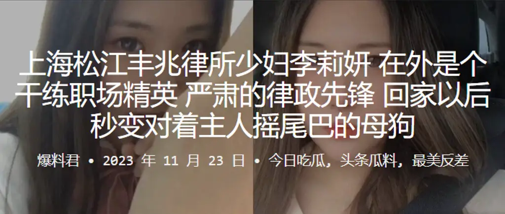 海松江.丰兆律.所少妇在外.是个干练.职场.精英严肃.的律政.先锋回家以.后秒变.对着主人摇尾.巴的母狗