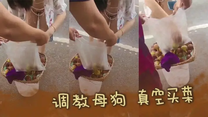 调教母狗 真空买菜