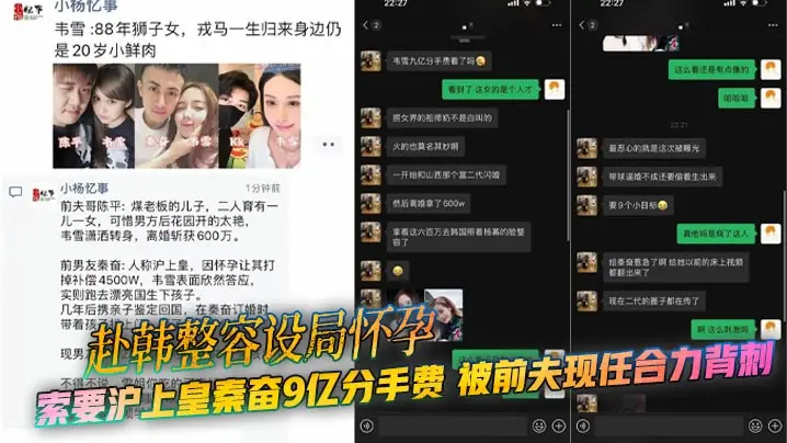 赴韩整容设局怀孕 索要沪上皇秦奋9亿分手费 被前夫现任合力背刺 曝光大尺度聊天记录！