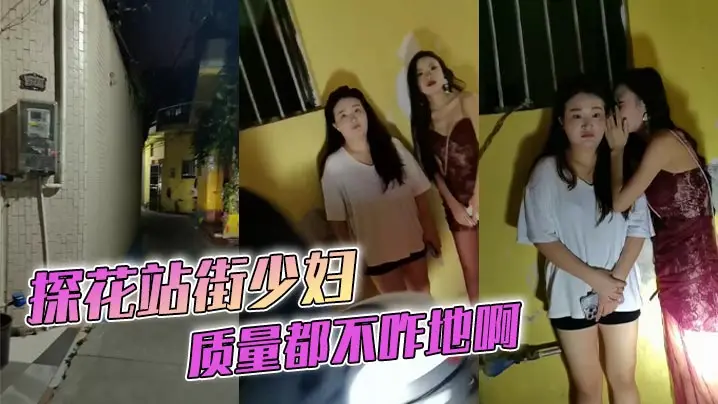 探花站街少妇 质量都不咋地啊