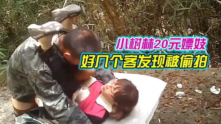 小树林20元嫖妓偷拍系列气质眼镜文化范卖淫女生意不错一连接了好几个客发现被偷拍