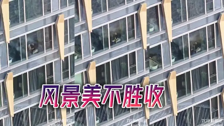风景美不胜收