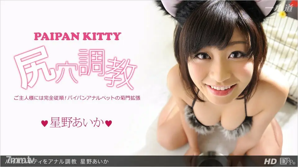 013113_523肛门训练白板小猫