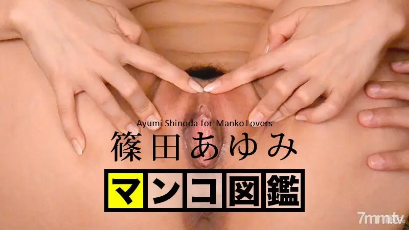 080216-001猫图画书AyumiShinodaAyumiShinoda