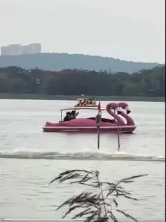 幅度也太大了..
