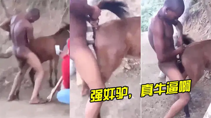强奸驴真牛逼啊