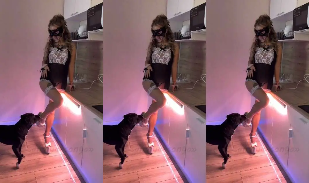 小黑狗内射情趣女主人（更多高质量片子，狗猪马系列需要看主页简介或者私信）#肛塞#白虎#毒龙#情趣内衣#骚逼#人妻#挑逗#舔逼#蝴蝶结#狗狗
