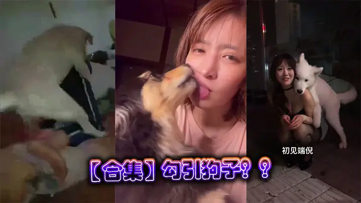 【合集】勾引狗子？？