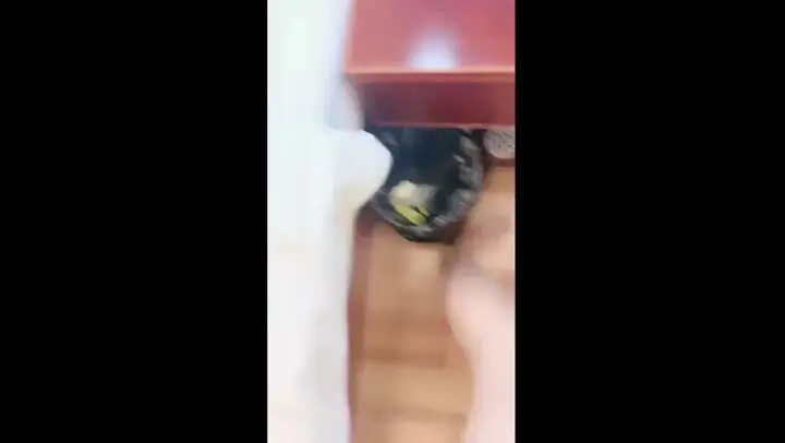 妹妹要来了，黑丝高跟露脸床上的极品淫娃跟小哥激情啪啪，让小哥吃奶舔逼淫水多多