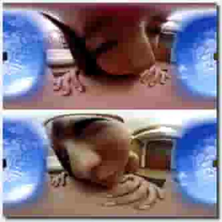 西門吹水 KMVR073 3D！！生中出しスぺシヤル 輝月あんり~3D！！生中出しスぺシヤル 輝月あんり