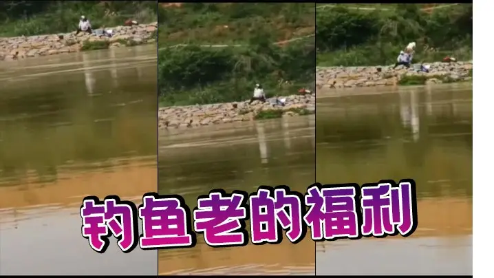 钓鱼老的福利的