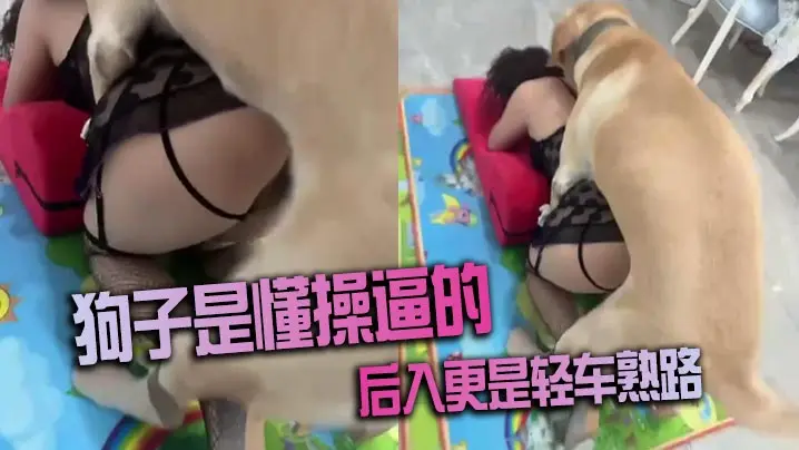 狗子是懂操逼的后入更是轻车熟路的