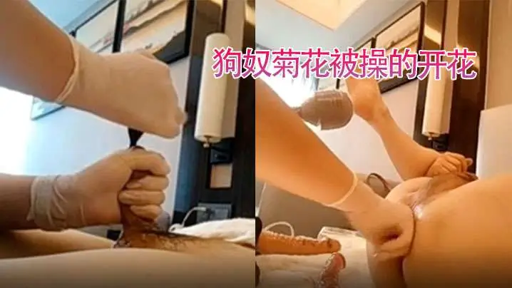 狗奴舔姨妈巾狗奴菊花被操的开花的